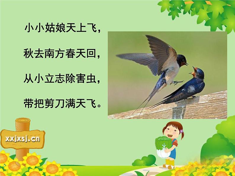 小学一年级下册道德与法治课件-7可爱的动物部编版(18张)课件第4页