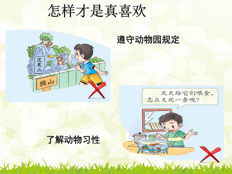 小学一年级下册道德与法治课件-7可爱的动物部编版(19张)课件第8页