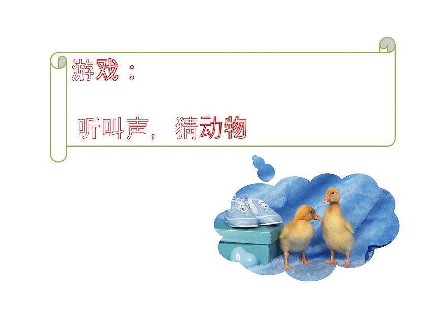 小學(xué)一年級(jí)下冊(cè)道德與法治課件-7可愛(ài)的動(dòng)物部編版(13張)課件第3頁(yè)