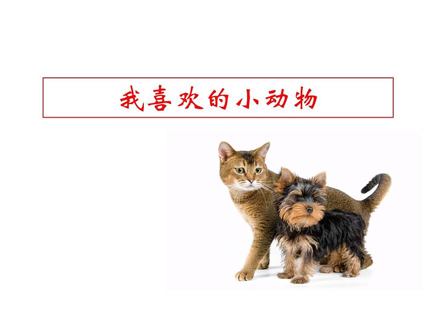 小學(xué)一年級(jí)下冊(cè)道德與法治課件-7可愛(ài)的動(dòng)物部編版(13張)課件第5頁(yè)