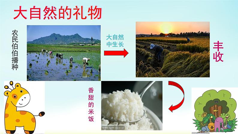 小学一年级下册道德与法治-8.大自然-谢谢您-部编ppt课件第4页