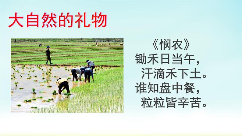 小学一年级下册道德与法治-8.大自然-谢谢您-部编ppt课件第5页