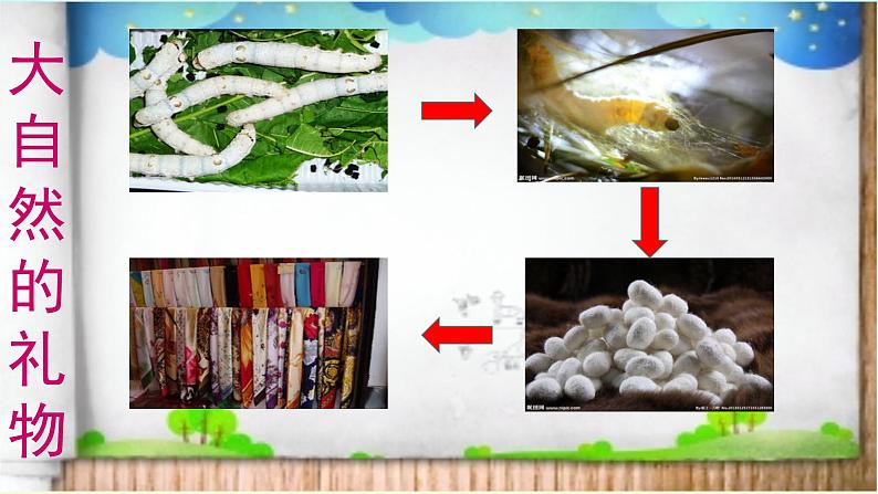 小学一年级下册道德与法治-8.大自然-谢谢您-部编ppt课件第6页