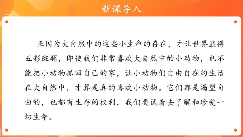 第二单元7 可爱的动物 2课时PPT课件+教案+素材03