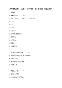 部编版六年级下册道德与法治 期中测试卷（Word版 含答案）