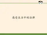 2.4 感受生活中的法律（課件）- 五年級道德與法治下冊部編版（五四制）