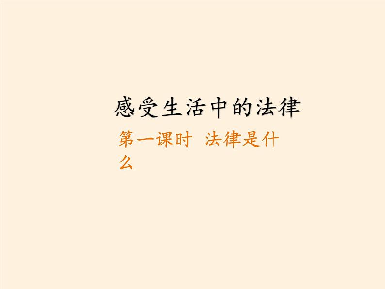 2.4 感受生活中的法律(课件)- 五年级道德与法治下册部编版(五四制)02