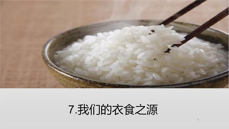 部編版 道德與法治 四年級(jí)下冊(cè) 7 我們的衣食之源（課件）第3頁(yè)