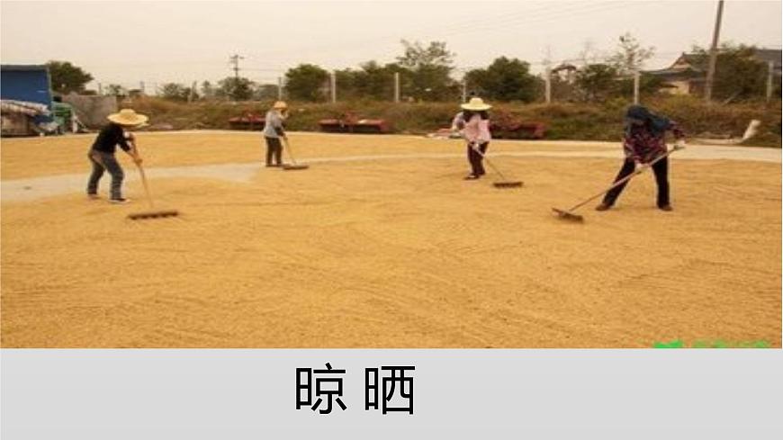 部編版 道德與法治 四年級(jí)下冊(cè) 7 我們的衣食之源（課件）第8頁(yè)