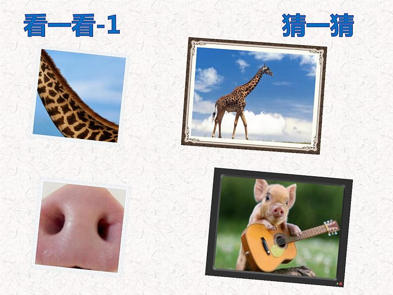 道德与法治一年级下册 7 可爱的动物(2)(课件)04