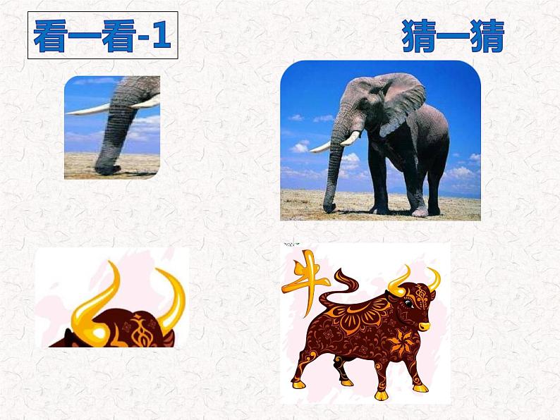道德与法治一年级下册 7 可爱的动物(2)(课件)05
