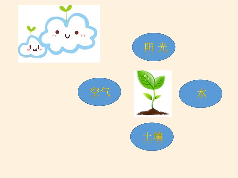 道德与法治一年级下册 8 大自然,谢谢您(4)(课件)第3页
