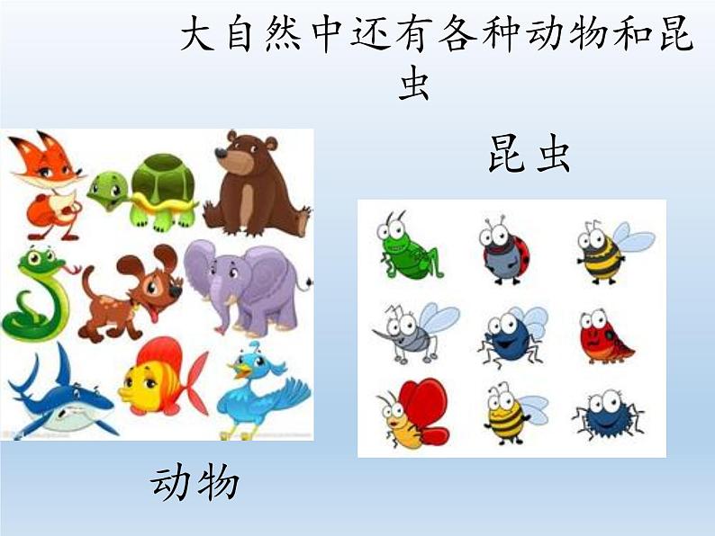 道德与法治一年级下册 8 大自然,谢谢您(6)(课件)第6页