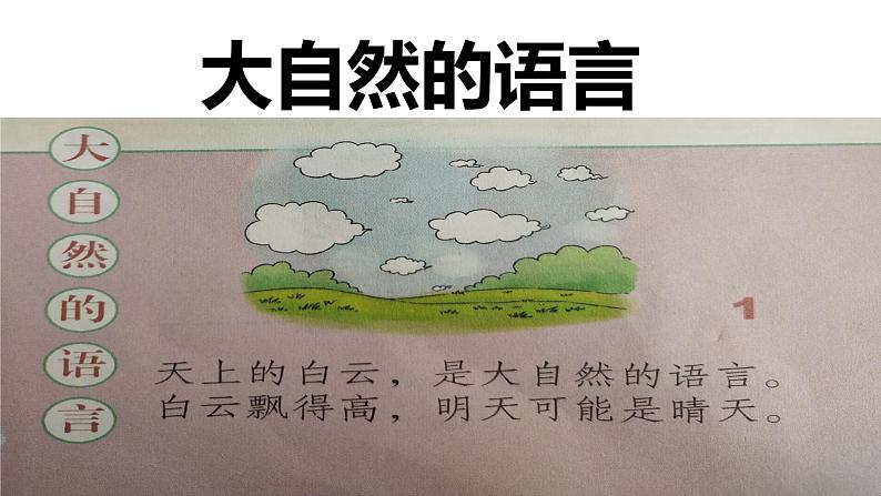 道德与法治一年级下册 8 大自然谢谢您(课件)第2页