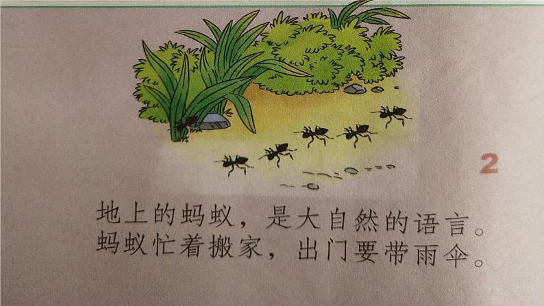 道德与法治一年级下册 8 大自然谢谢您(课件)第3页
