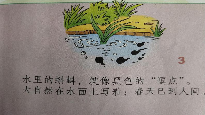 道德与法治一年级下册 8 大自然谢谢您(课件)第4页