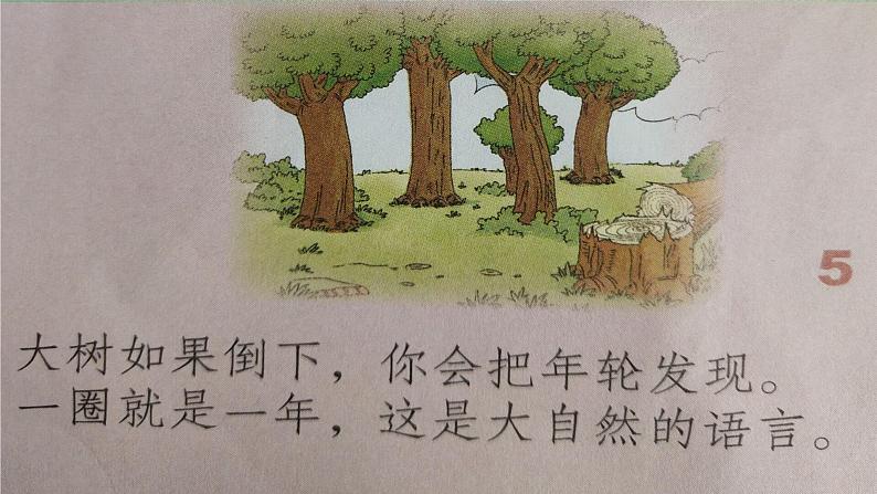 道德与法治一年级下册 8 大自然谢谢您(课件)第6页