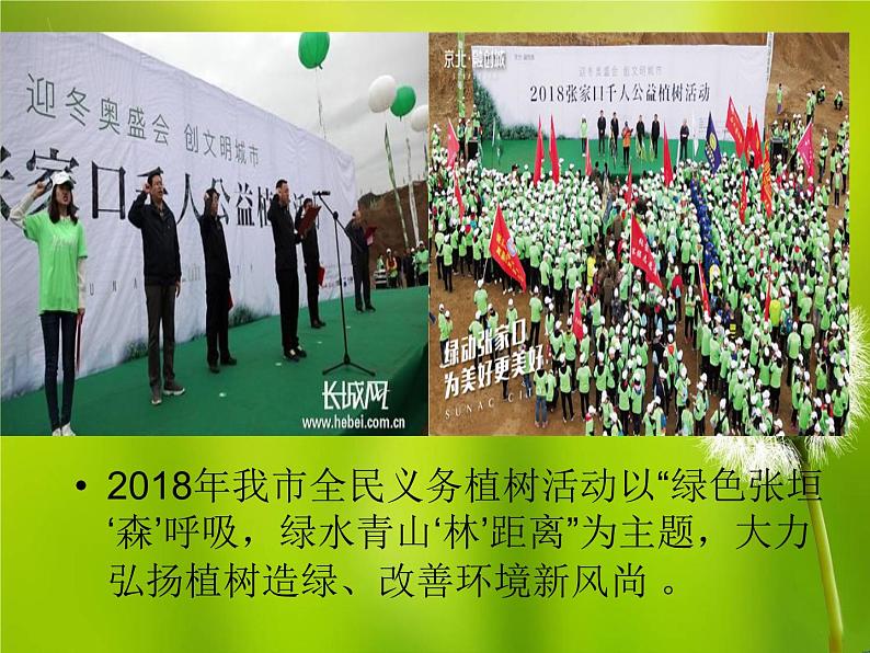 小学道德与法治人教版(部编)二年级下册 12我的环保小搭档 课件第6页