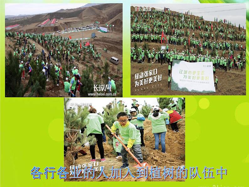 小学道德与法治人教版(部编)二年级下册 12我的环保小搭档 课件第7页