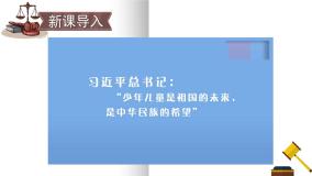 小学政治 (道德与法治)人教部编版六年级上册8 我们受特殊保护备课课件ppt