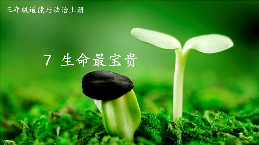 道德與法治三年級上冊 7 生命最寶貴 課件PPT第1頁