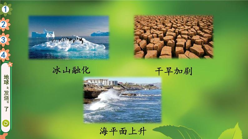 12 低碳生活每一天 课件第6页
