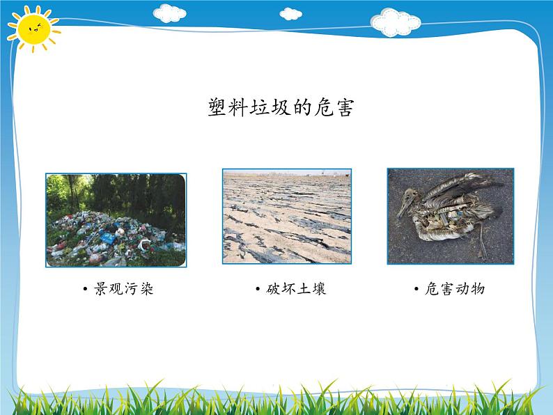 13 我们所了解的环境污染 课件(21张幻灯片)06