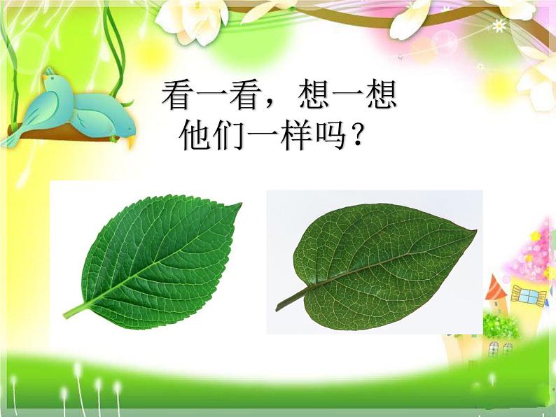 2 不一样的你我他课件(共18张PPT)第2页