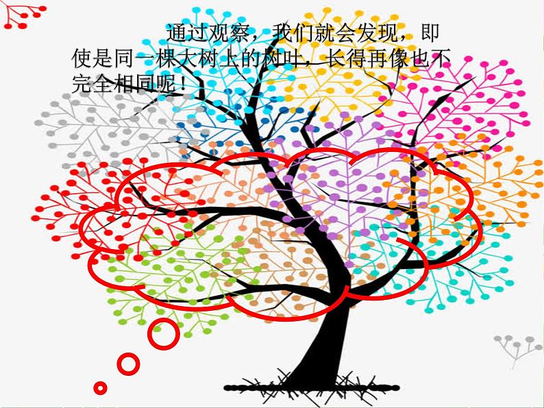 2 不一样的你我他课件(共18张PPT)第3页