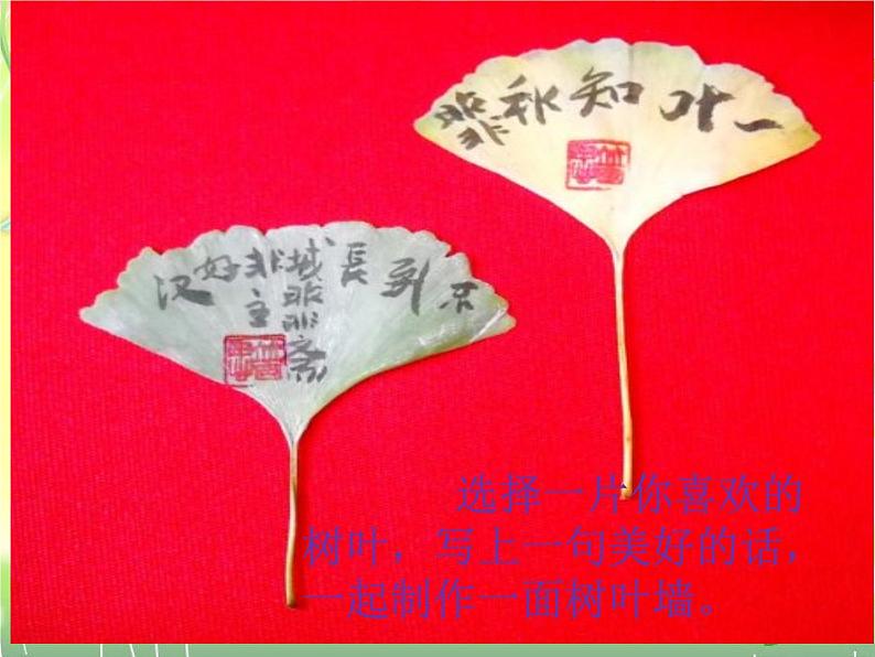2 不一样的你我他课件(共18张PPT)第5页
