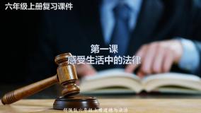 【总复习】部编版六年级道德与法治上册：第一课 感受生活中的法律（知识点回顾与试题演练）