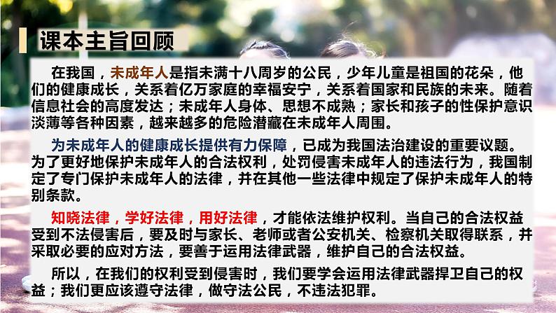 【总复习】部编版六年级道德与法治上册:第九课 知法守法 依法维权(知识点回顾与试题演练)第2页