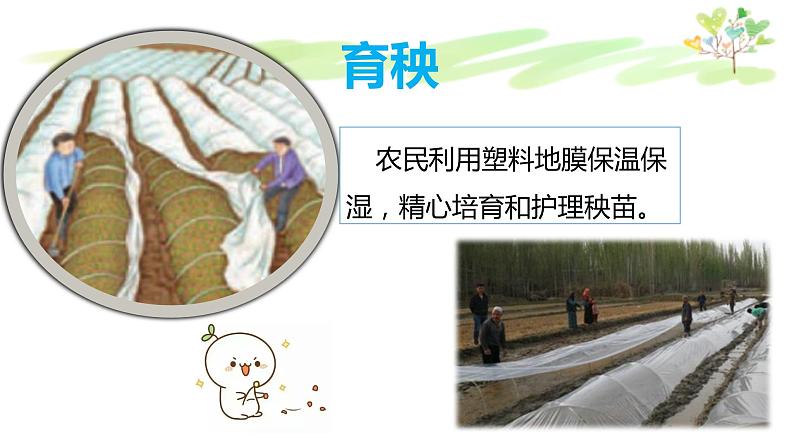7 《我们的衣食之源 》(第一课时) 课件第8页