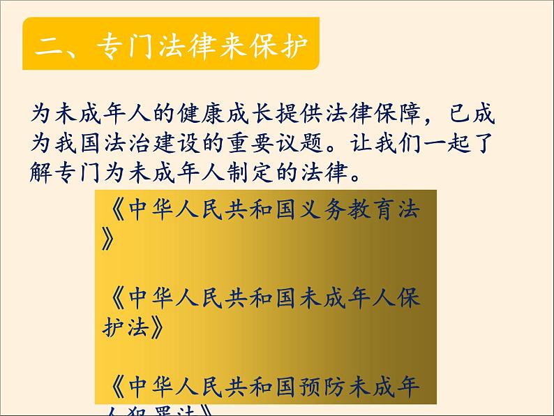 人教部编版六年级道德与法治上册8《我们受特殊保护》课件+教案+学案06