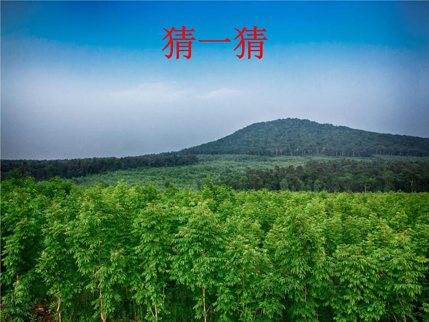 10 清新空氣是個寶 課件第3頁