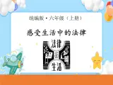 第4課 感受生活中的法律 課件