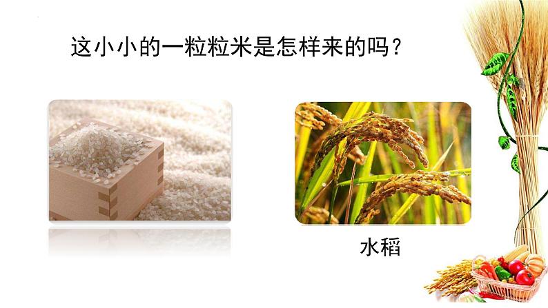 第七课 我们的衣食之源(第一课时)(课件+教案+素材)四年级道德与法治下册07