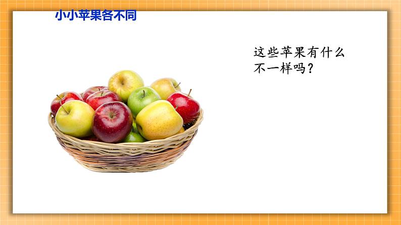 2 不一样的你我他 课件+内嵌音视频02