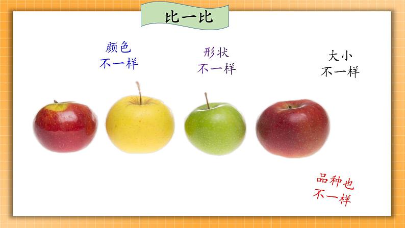 2 不一样的你我他 课件+内嵌音视频03