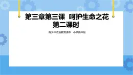 3.3 呵護(hù)生命之花第二課時(shí) 課件+教案