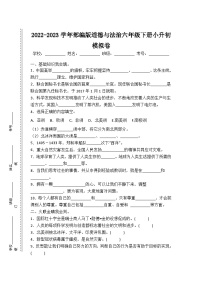 2022-2023学年部编版道德与法治六年级下册小升初模拟卷五（原卷板+解析版）