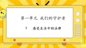 政治 (道德与法治)六年级上册1 感受生活中的法律优质课课件ppt