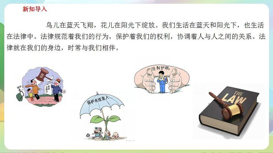 人教部編版道德與法治六上 1.1感受生活中的法律 第1課時 法律是什么（ 課件）第4頁