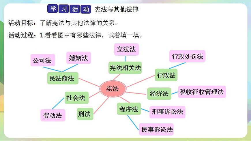 人教部編版道德與法治六上 1.2憲法是根本法 第2課時(shí) 憲法具有最高法律效力 課件第4頁