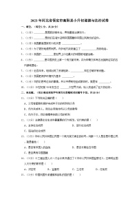2023年河北省保定市高阳县小升初道德与法治试卷（含解析）