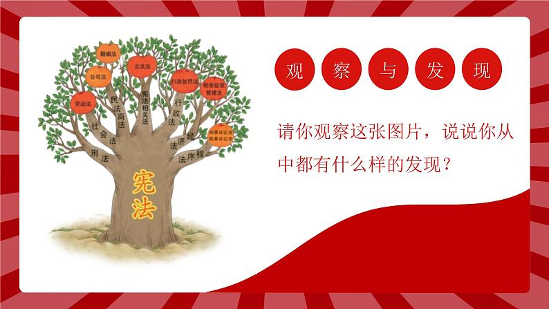 部编版道德与法治六年级上册 2宪法是根本法 第二课时 课件+教案03