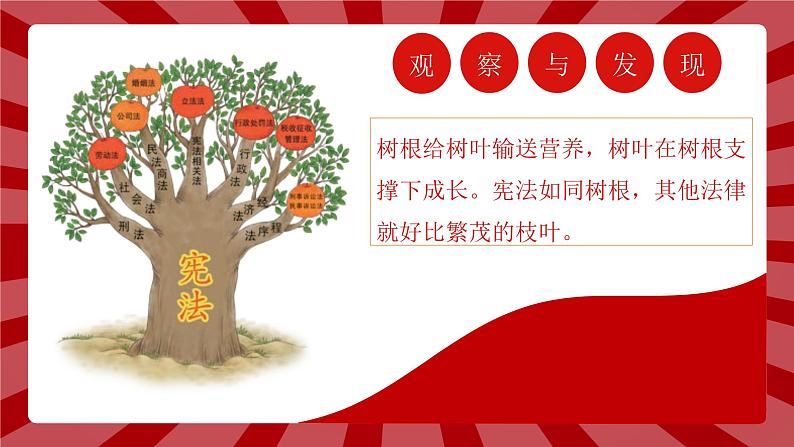 部编版道德与法治六年级上册 2宪法是根本法 第二课时 课件+教案05