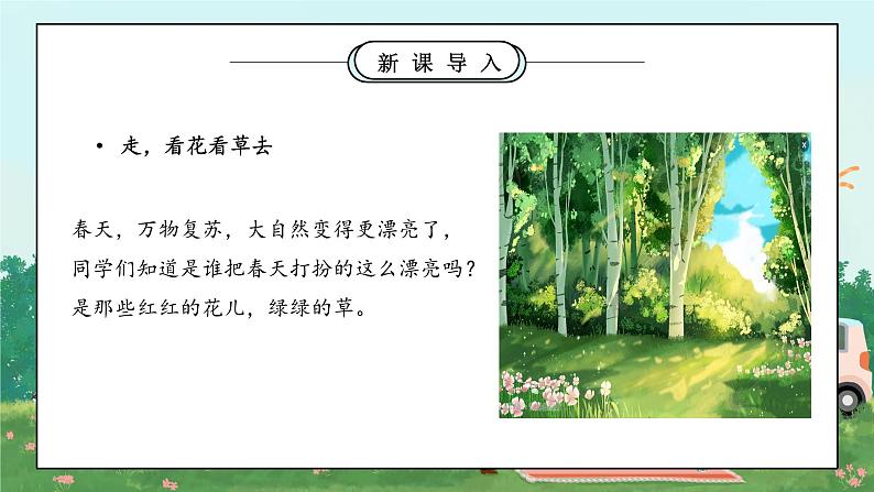 第六课《花儿草儿真美丽》课件第5页