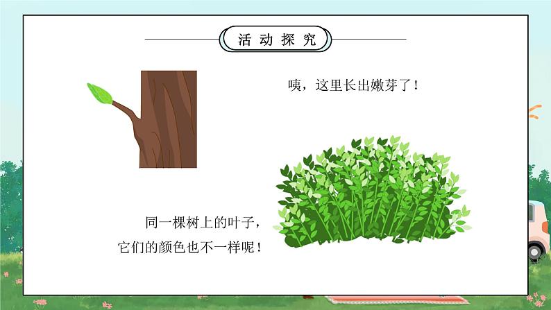 第六课《花儿草儿真美丽》课件第7页