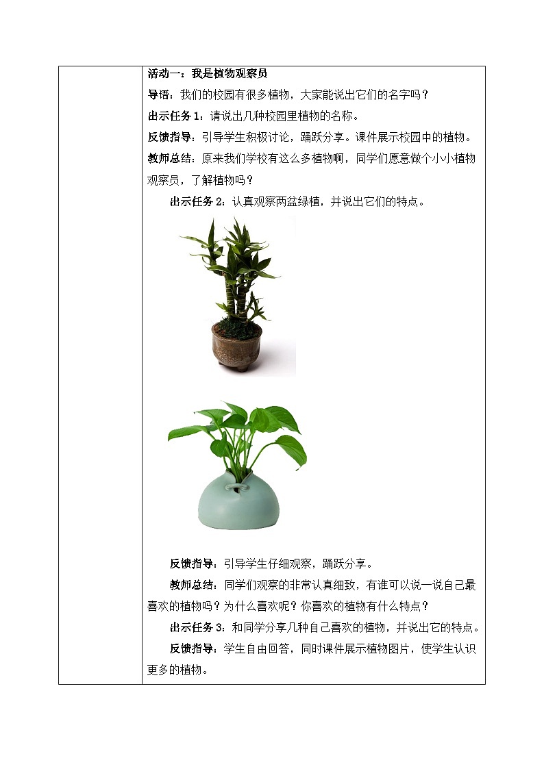 第六课《花儿草儿真美丽》教案第2页